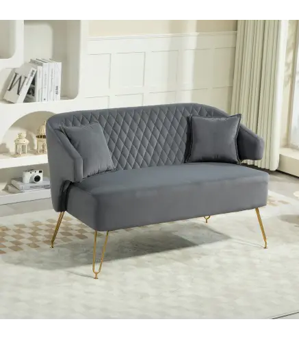 Sofá de 2 Plazas Tapizado en Terciopelo con 2 Almohadas Reposabrazos y Patas de Acero Carga 240 kg 124x69x76 cm Gris