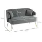 Sofá de 2 Plazas Tapizado en Terciopelo con 2 Almohadas Reposabrazos y Patas de Acero Carga 240 kg 124x69x76 cm Gris