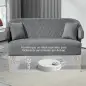 Sofá de 2 Plazas Tapizado en Terciopelo con 2 Almohadas Reposabrazos y Patas de Acero Carga 240 kg 124x69x76 cm Gris