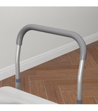 Silla con Inodoro