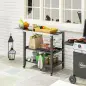 Carrito de Parrilla para Jardín Carro de Servicio con Encimera Estantes Lateral Plegable y Ruedas 116x50x86 cm Negro
