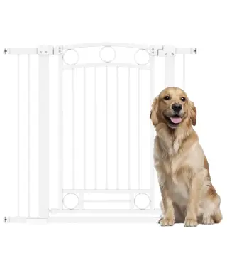 Barrera para Perros