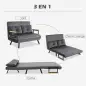 Sofá Cama Convertible 4 en 1 Sillón Cama 2 Plazas Plegable Respaldo Ajustable de 5 Niveles Almohadas 102x73x81cm Gris