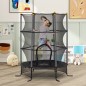 Cama Elástica Infantil Cama Elástica Infantil