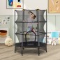 Cama Elástica Infantil Cama Elástica Infantil