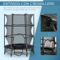 Cama Elástica Infantil Cama Elástica Infantil