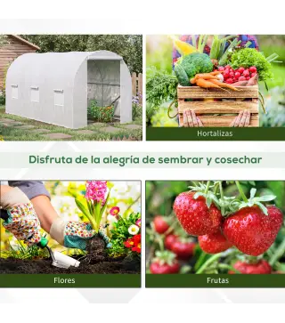 Invernadero de Túnel