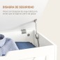 Baúl de Almacenaje Baúl de Almacenaje