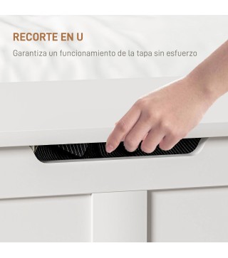 Baúl de Almacenaje