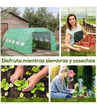 Invernadero de Túnel