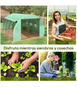 Invernadero de Túnel