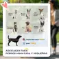 Cochecito para Perros Pequeños Plegable Cochecito para Mascotas con Vagón Desmontable 4 Puertas con Cremallera Gris