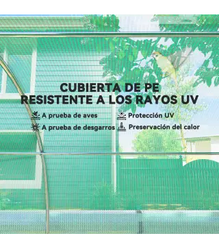 Invernadero de Túnel