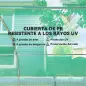 Invernadero de Túnel 4,5x2x2 m con Cubierta PE 140 g/m² Paredes Laterales Enrollables 8 Ventanas y 2 Puertas Verde