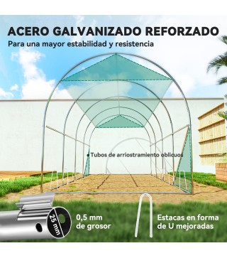 Invernadero de Túnel