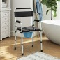 Silla con Inodoro