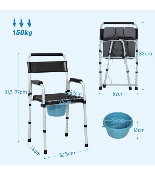 Silla con Inodoro