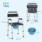 Silla con Inodoro
