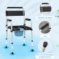 Silla con Inodoro