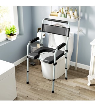 Silla con Inodoro