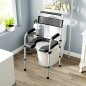 Silla con Inodoro