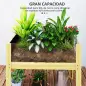 Jardinera Elevada de Madera con Paneles Acrílicos para Flores y Vegetales con Drenaje y Capacidad de 68L 75x46x60,5 cm