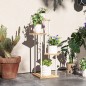 Estantería para Plantas