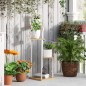 Estantería para Plantas