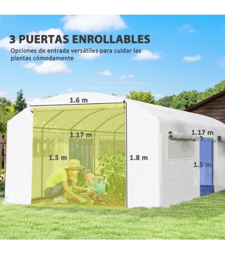 Invernadero de Túnel