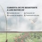 Invernadero de Túnel