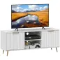 Mueble de TV con 2 Compartimentos Abiertos y 2 Puertas Mueble para Televisión de 55 Pulgadas 120x35x48 cm Blanco