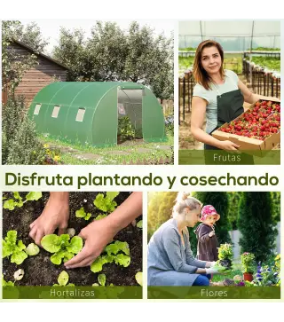 Invernadero de Túnel