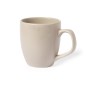 Taza Leslie