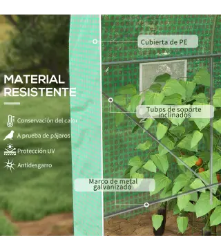 Invernadero de Túnel