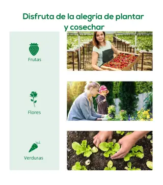 Invernadero de Túnel