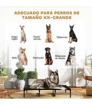 Cama Elevada Perros