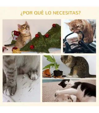 Rascador para Gatos
