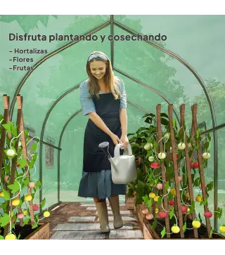 Invernadero de Túnel