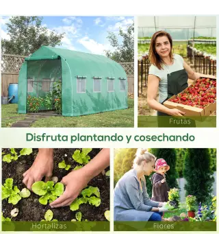 Invernadero de Túnel