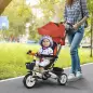 Triciclo para Bebés Plegable Triciclo Evolutivo 2 en 1 para Niños con Toldo Plegable Cestas y Cinturón de Seguridad Rojo