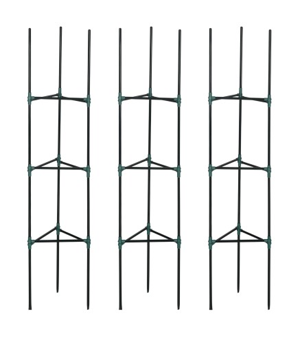 Soporte para Trepadoras