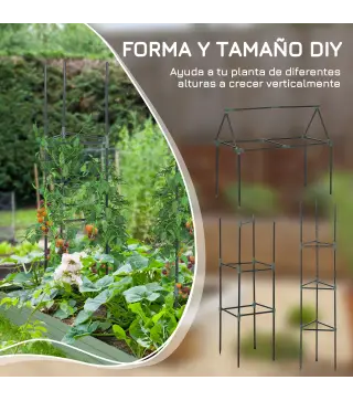 Soporte para Trepadoras