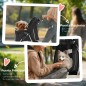 Cochecito para Perros Cochecito para Perros