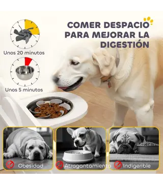 Comedero Perros Elevado