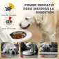 Comedero Elevado Doble para Perros con Altura Ajustable y Sistema de Alimentación Lenta 63x58,5x40 cm Blanco