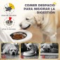 Comedero Perros Elevado Comedero Perros Elevado