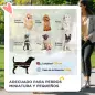 Carrito para Perros Pequeños con Cesta de Almacenaje Ventanas de Malla y 2 Ruedas Universales 75x45x97 cm Negro