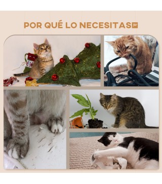 Estantes para Gatos