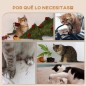 Estantes para Gatos
