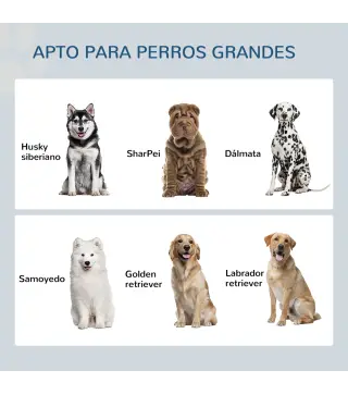 Comedero para Perros